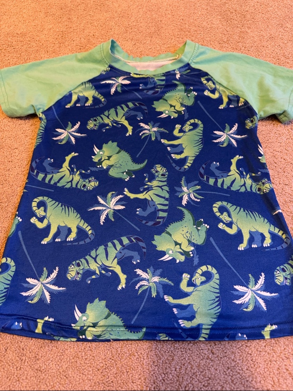 Kids Short Sleeve Dino Tee in Navy and Green